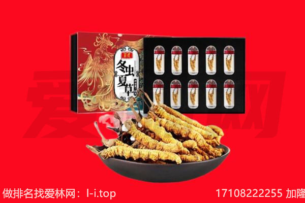 汾阳市回收虫草.jpg